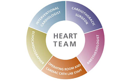 heartteam chart